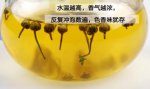河南焦作特产 珍珠菊茶
