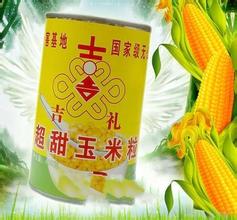 广东甜玉米