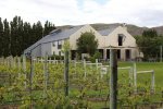 新西兰特产 新西兰葡萄酒