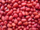 上海崇明特产 大红袍赤豆