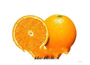 金龟橘