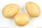 山西长治特产 土豆