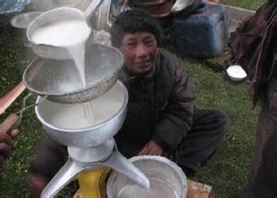 藏族奶品