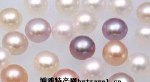 湖北鄂州特产 蒲团珍珠