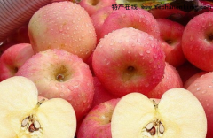 北京门头沟特产 太子墓村苹果