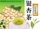 贵州贵阳特产 银杏茶