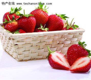 山东青岛特产 祝沟草莓
