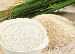 稻米“五里香”