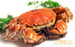 安徽蚌埠特产 五河沱湖螃蟹