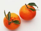 四川泸州特产 红橘
