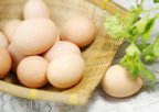 浙江嘉兴特产 “绿健”牌营养鸡蛋
