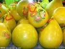广西梧州特产 柚子