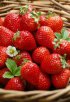 泰州兴化特产 临城草莓