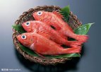 温州乐清特产 美国红鱼