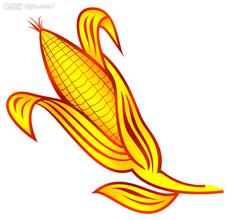 乌盟玉米
