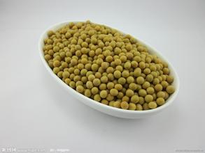 敦化小粒黄豆