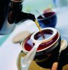 广西梧州特产 六堡茶