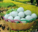 辽宁本溪特产 绿壳乌鸡蛋