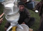 西藏昌都特产 藏族奶品