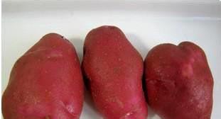 周营红皮土豆
