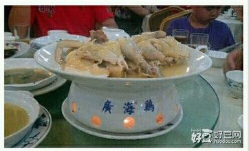 广海鸡