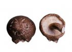 山西太原特产 古交蘑菇
