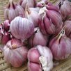 普洱孟连特产 紫皮香蒜