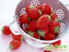 南京高淳特产 草莓