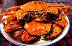 上海特产 崇明老毛蟹