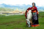 西藏日喀则特产 邦典
