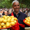 新疆喀什特产 英吉沙色买提杏