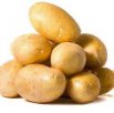 南通海安特产 “绿浪”马铃薯