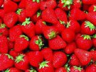 山东潍坊特产 石埠子草莓