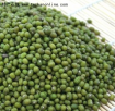 黑龙江大庆特产 巴哈西伯绿豆