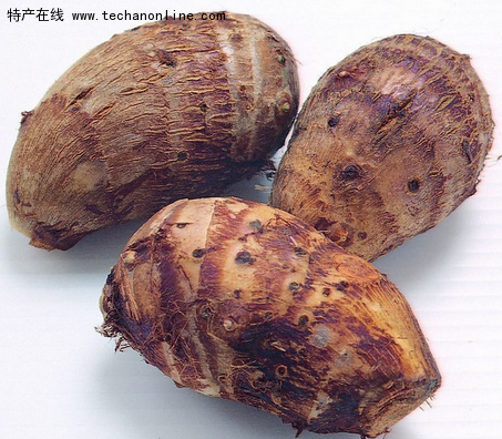 江苏常州特产 建昌红香芋