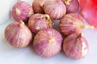 沁水紫皮蒜