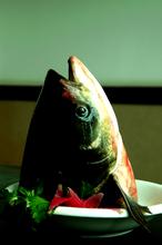 黑龙滩生态鱼