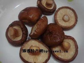 红河香菇