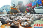 广东深圳特产 南山牡蛎