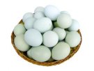 三明梅列特产 绿壳蛋